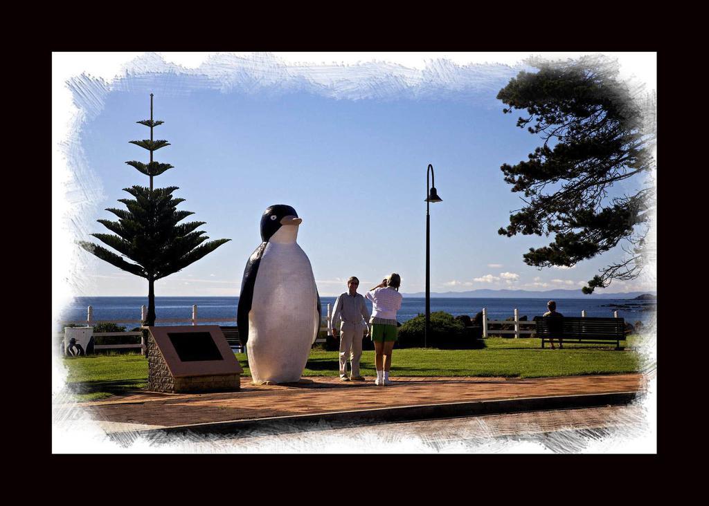 Penguin Beachfront Apartments Экстерьер фото